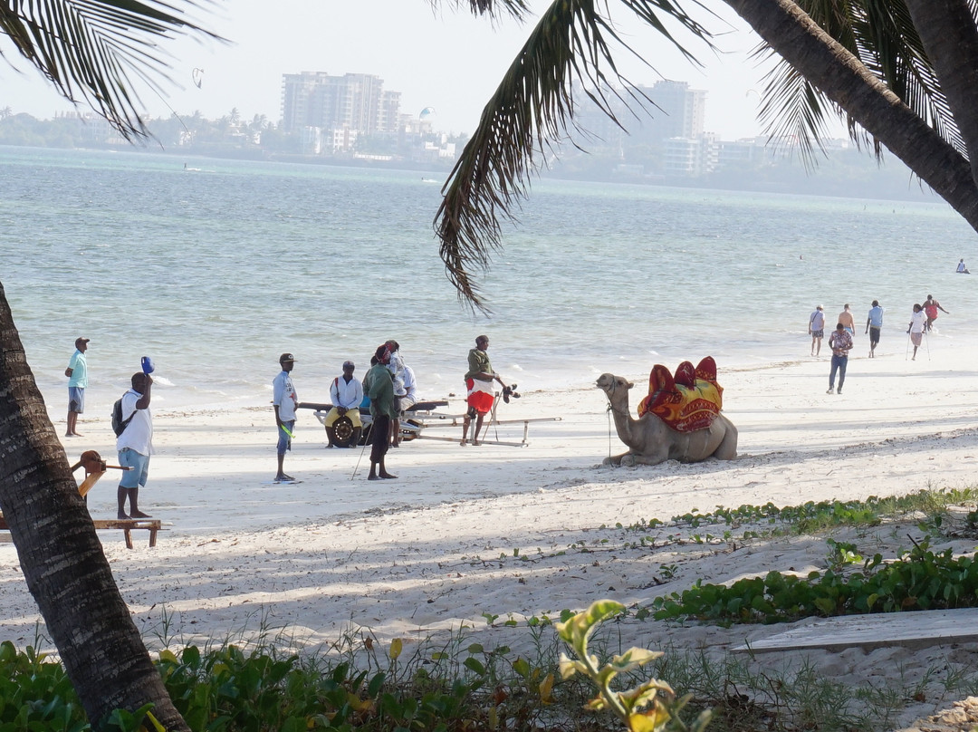 旅客海滩酒店主图