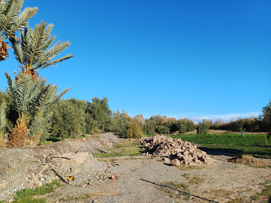 Palmeraie De Skoura-Skoura必去景点