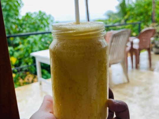 Rubyasia travels and tours-Ja Ela必去景点