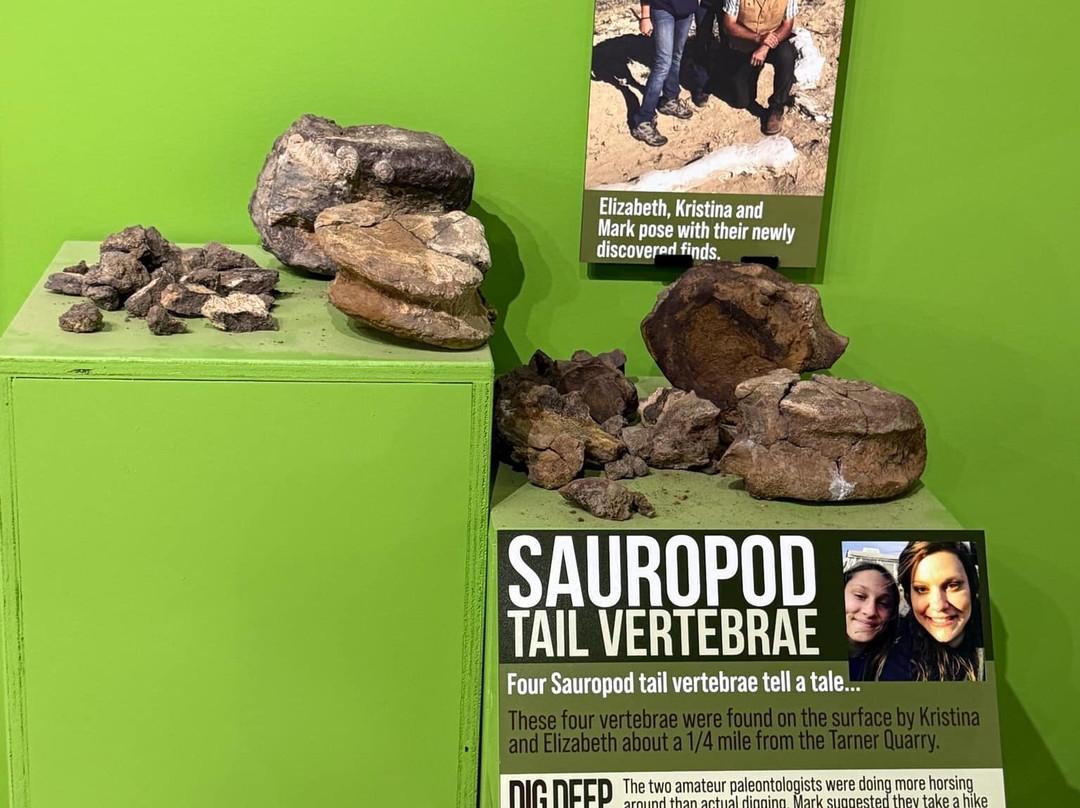 Indiana Dinosaur Museum-南本德必去景点