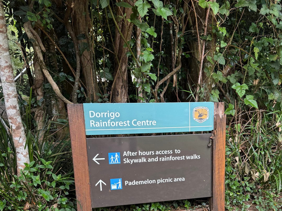 Dorrigo Rainforest Centre-Dorrigo必去景点