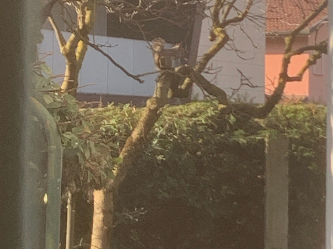 Il Giardino di Fiorina主图