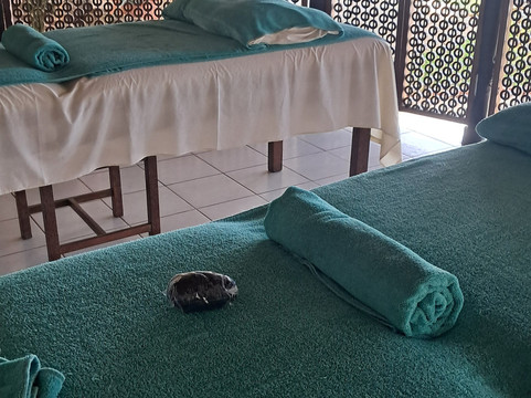 Afya Bora Spa-迪亚尼必去景点