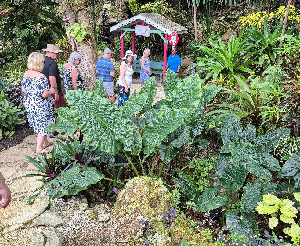 Tropical Garden Barbados-Saint George Parish必去景点