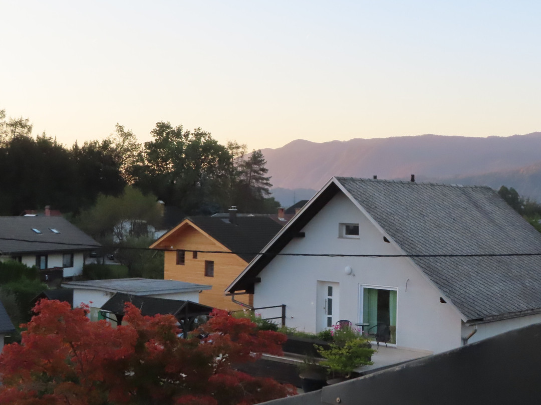 Guesthouse Kolinska主图