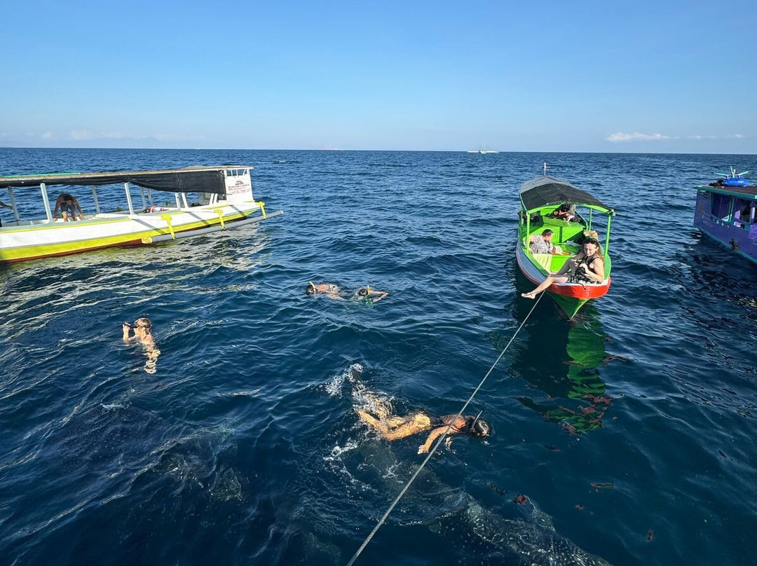 Sumbawa Adventour-Sumbawa Besar必去景点