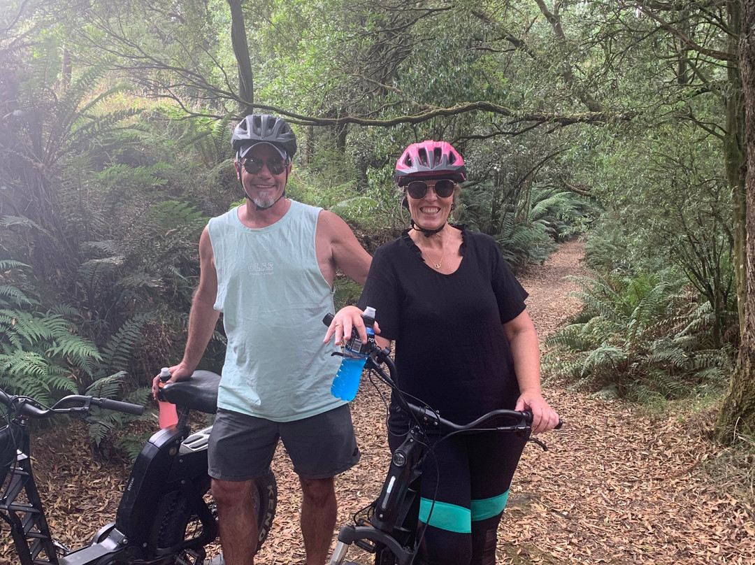Otway E Bikes-Beech Forest必去景点