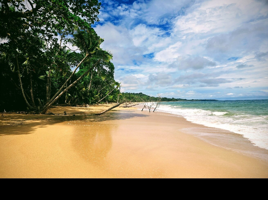 Playa Bluff景点图片