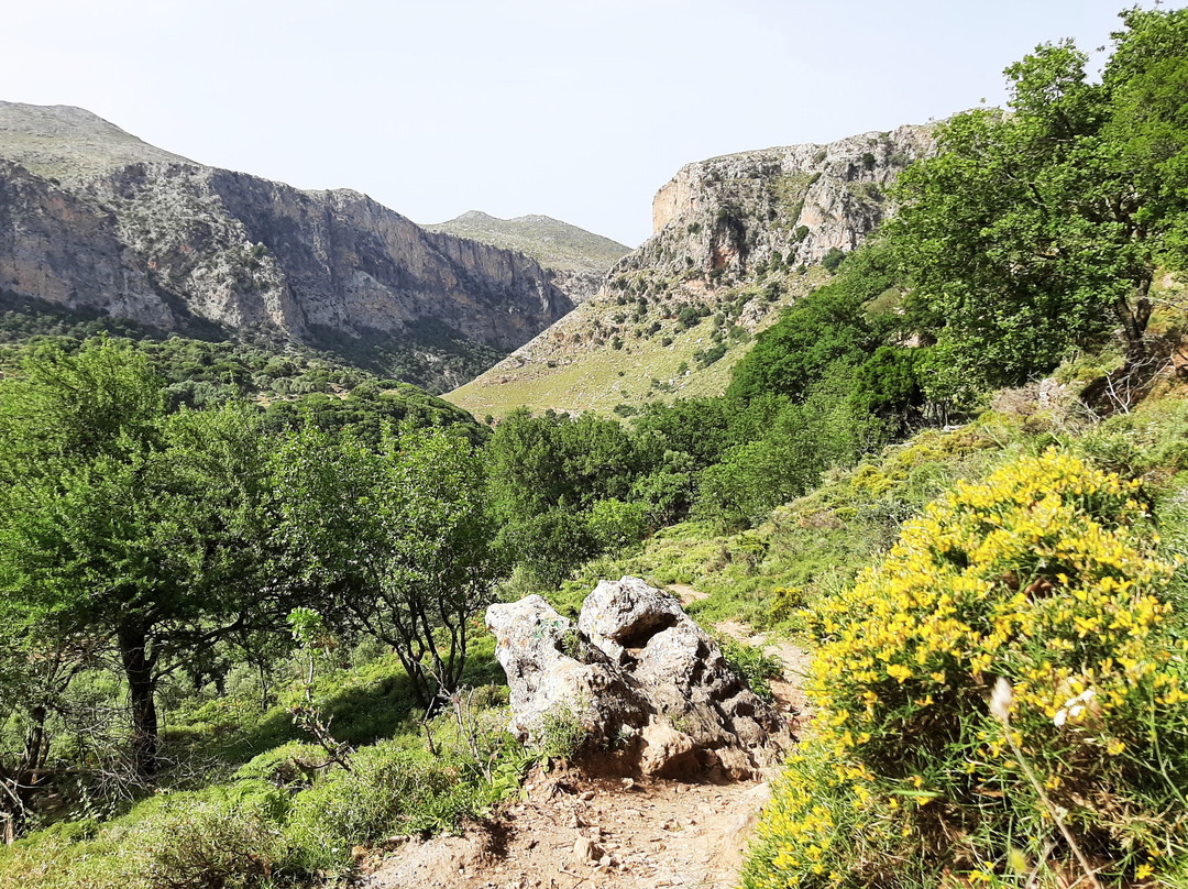 Sirikari Gorge - Polyrrinia Trail-基萨莫斯必去景点