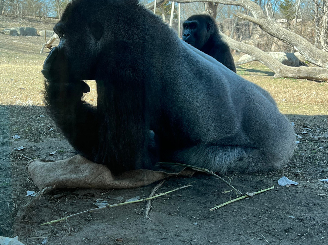 Sedgwick County Zoo景点图片