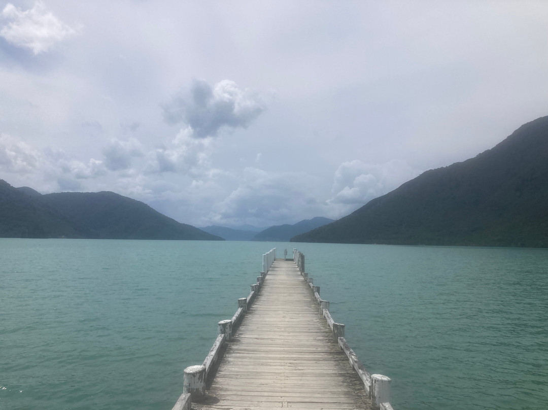 Pelorus Sound Water Taxi & Cruises-哈夫洛克必去景点