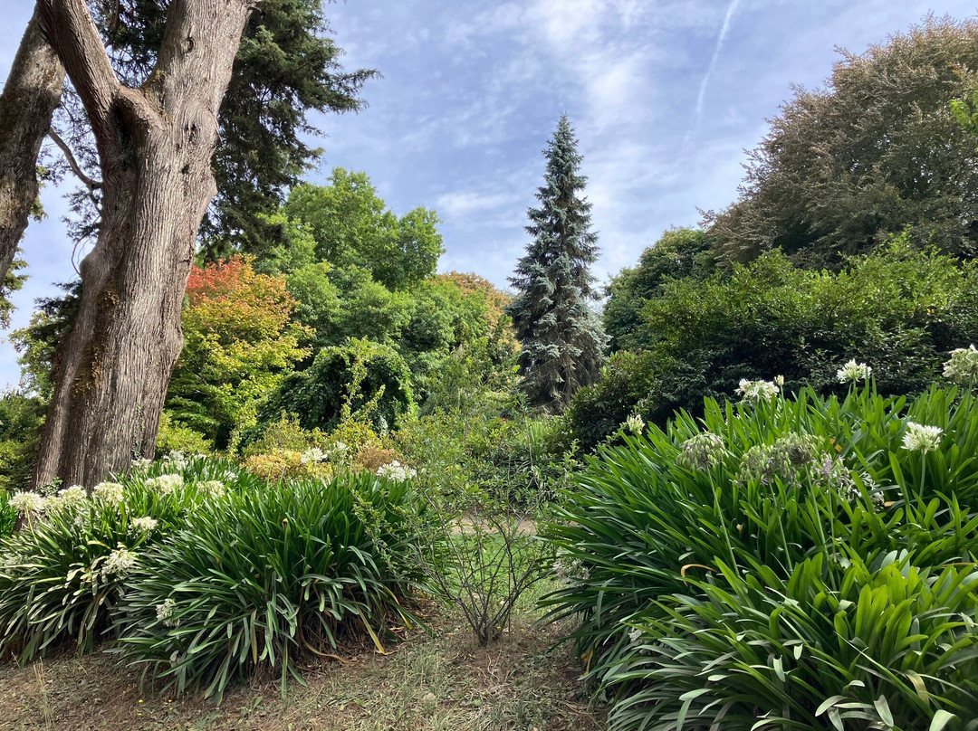 Wombat Hill Botanical Gardens-戴尔斯福特必去景点