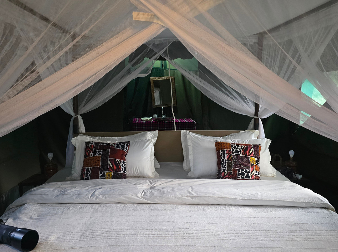 Tanzania Pure Nature and Travel景点图片