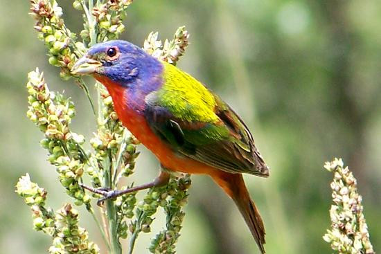 Quiet Hill Ranch - Fredericksburg主图