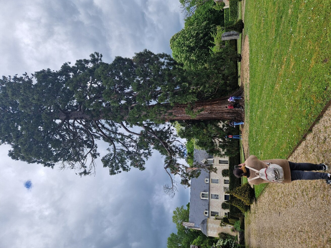 Domaine de Poulaines景点图片