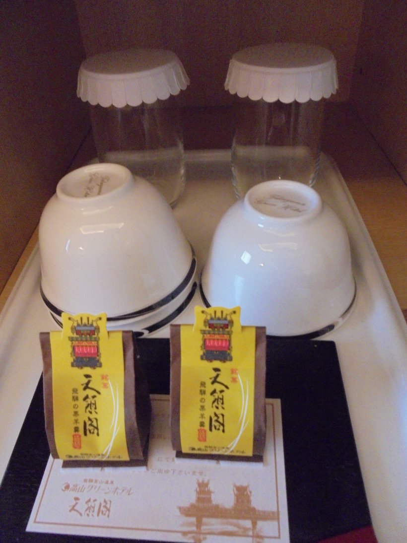 飞驒高山温泉 高山绿色酒店（京王集团酒店）-客卧