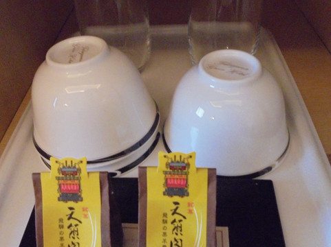 飞驒高山温泉 高山绿色酒店（京王集团酒店）主图