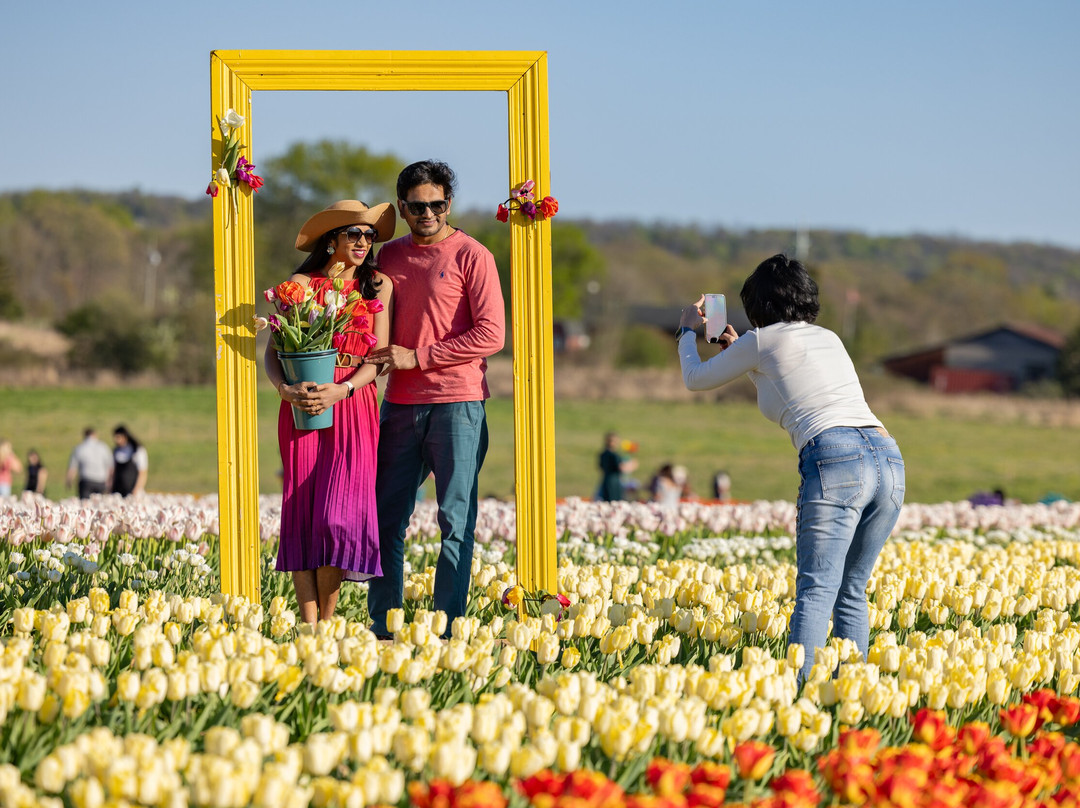 Tasc Tulip Pick Farm-Pelham必去景点
