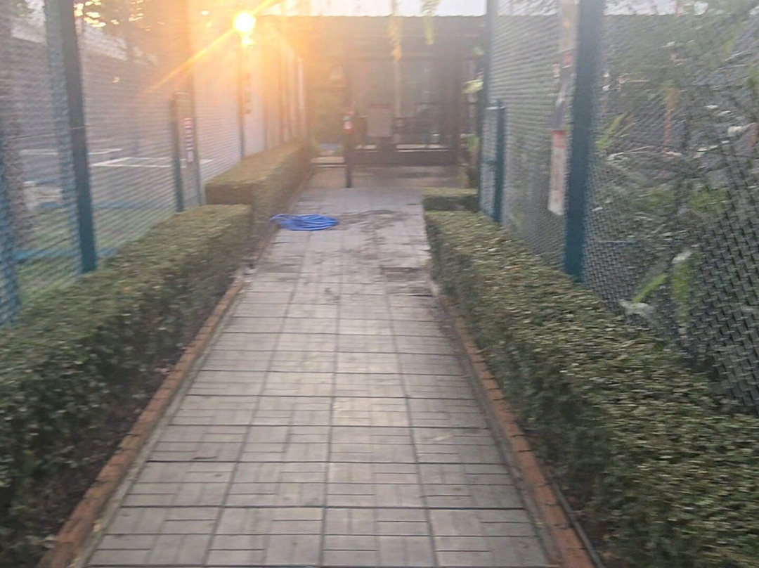 Tiger Park Pattaya景点图片