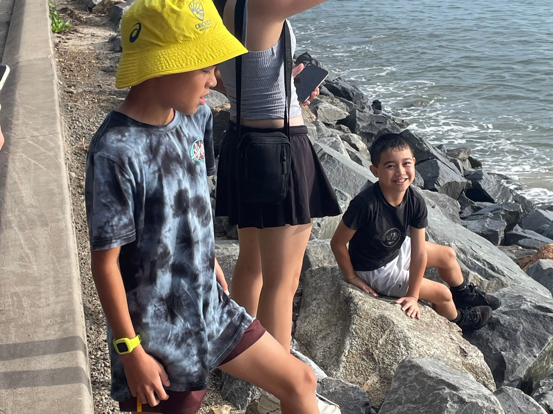 Palm Cove Beach景点图片