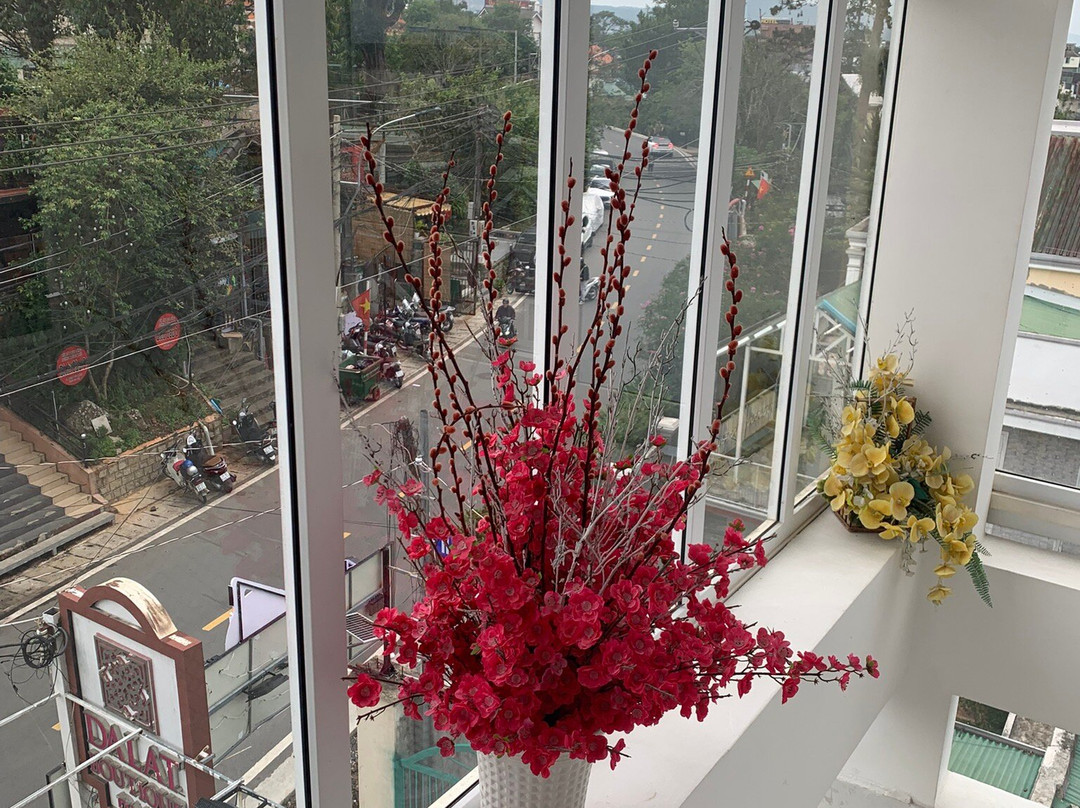 Dalat Boutique PNP Hotel主图