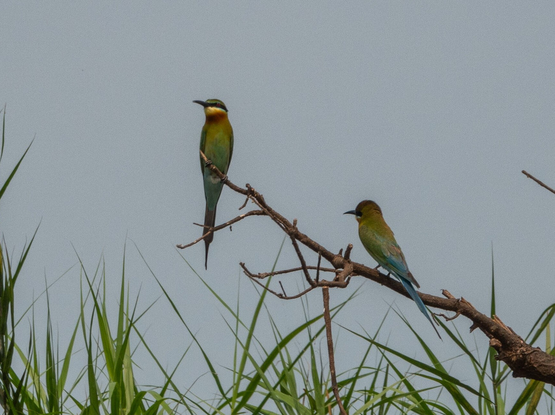 Prek Toal Tours & Travel-暹粒必去景点