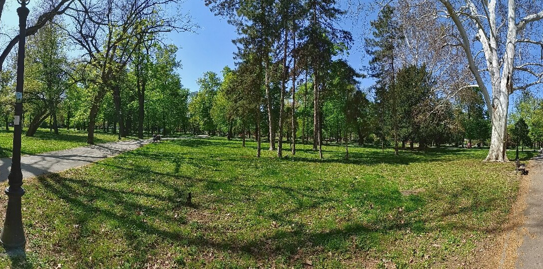 Zemunski Park-泽蒙必去景点