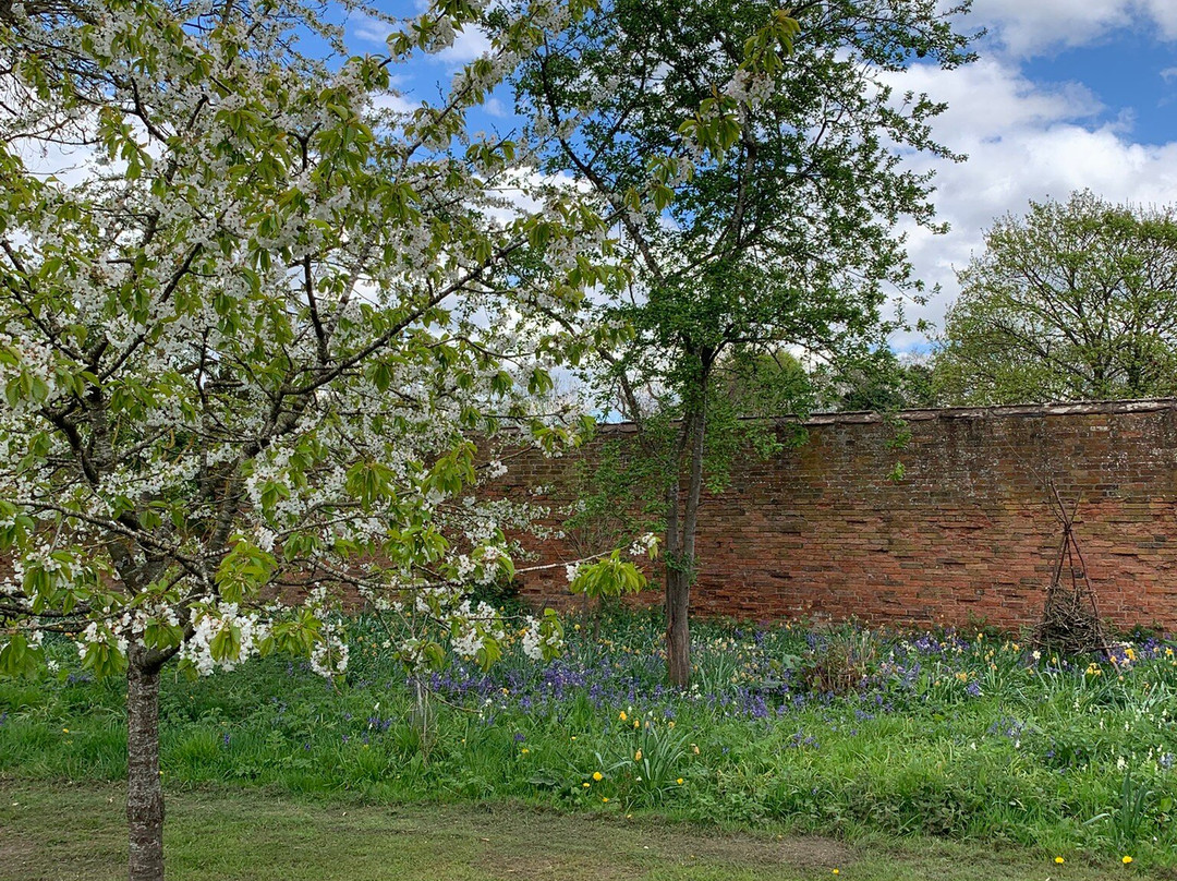 Middleton Hall & Gardens景点图片