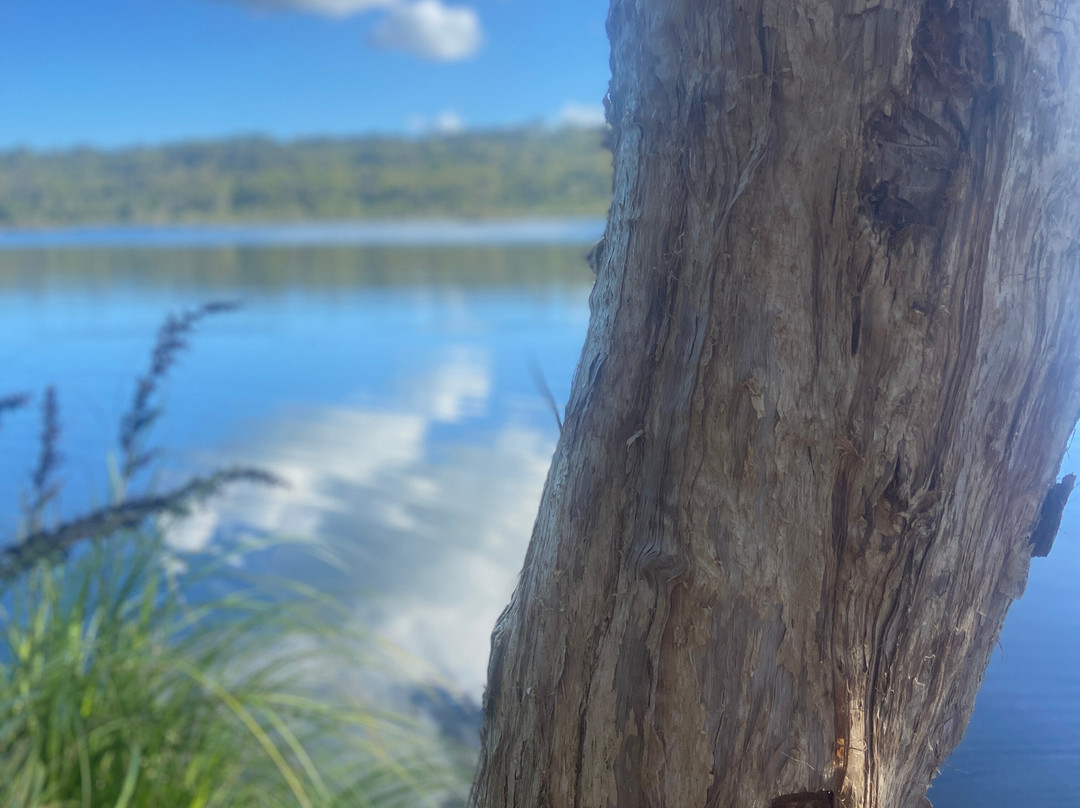 Kingfisher Resort主图