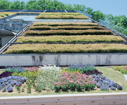 Hana Festa Memorial Park-可儿市必去景点