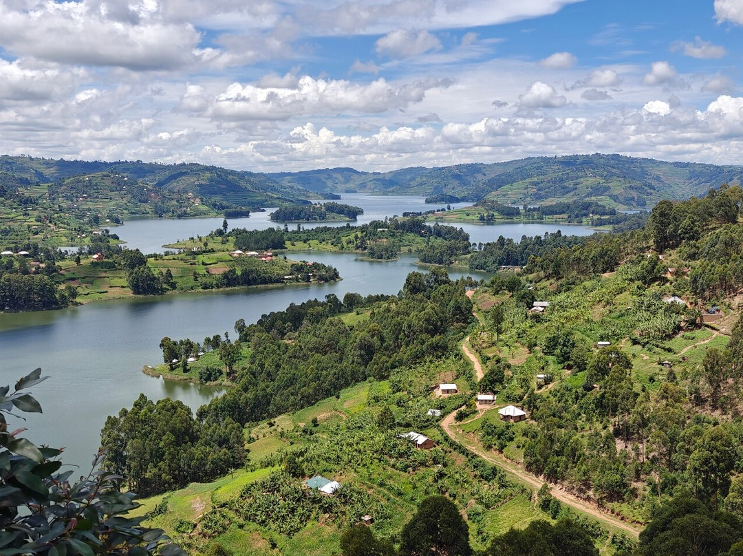 Kigezi Vima Safaris景点图片