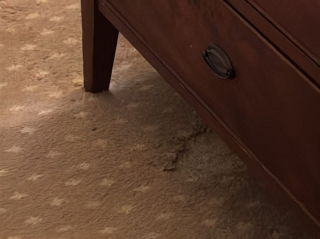 The Welcombe Hotel, Bw Premier Collection By Best Western主图