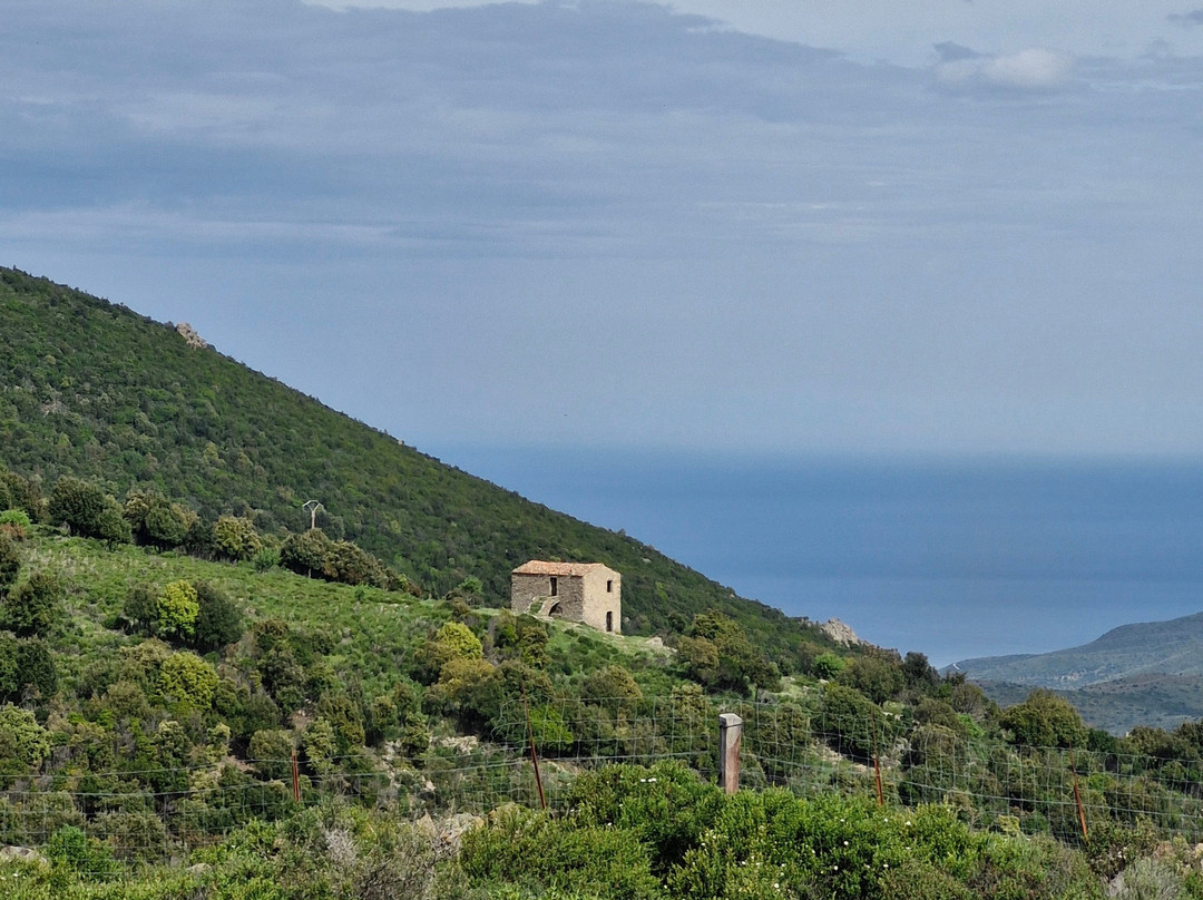 Corse Loisirs - Day Tours景点图片