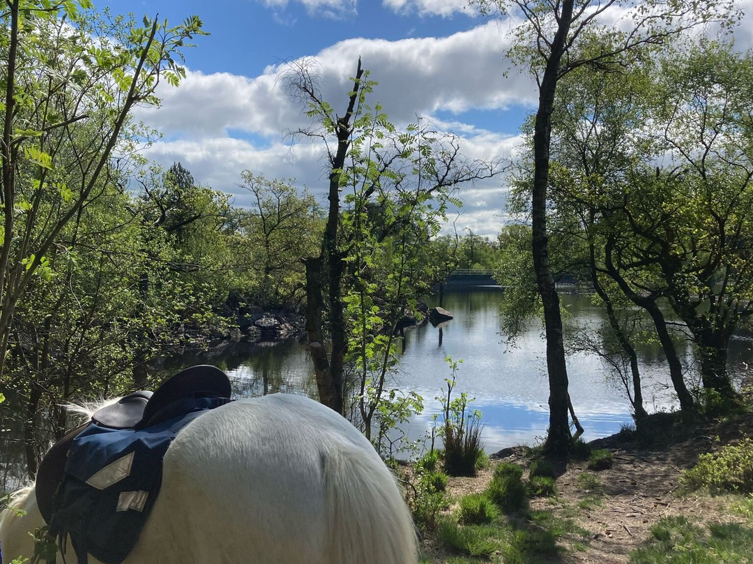 Fell Pony Adventures景点图片