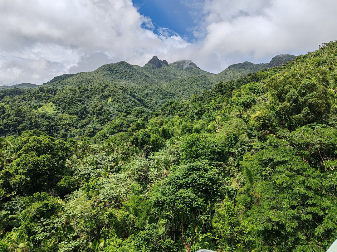 Torre Yokahú-云盖国家森林公园必去景点