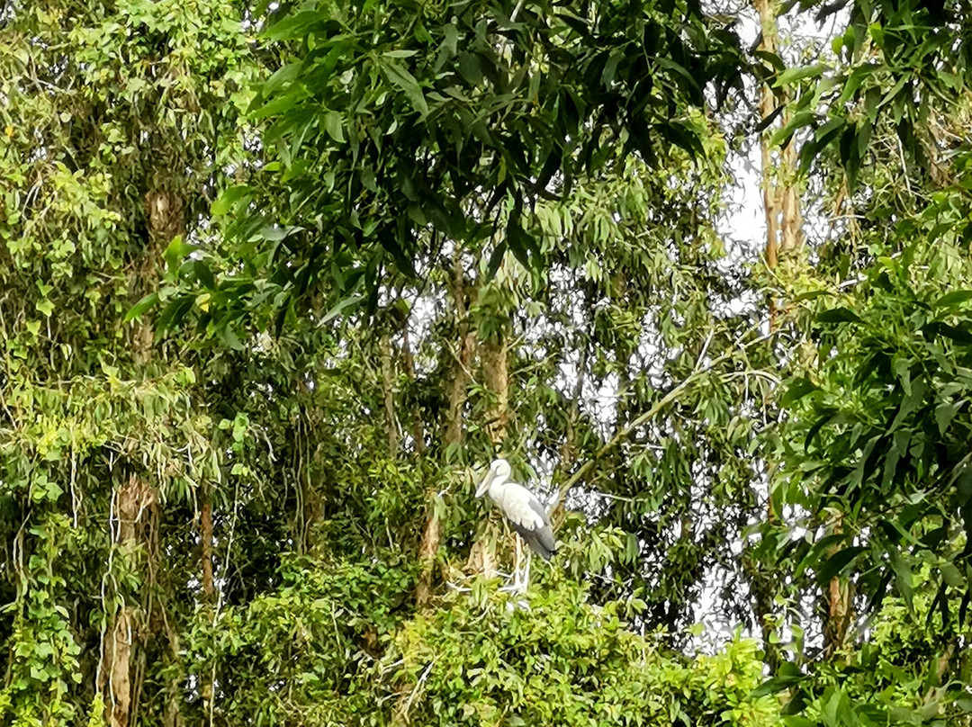 Mekong Experience Travel-芹苴必去景点