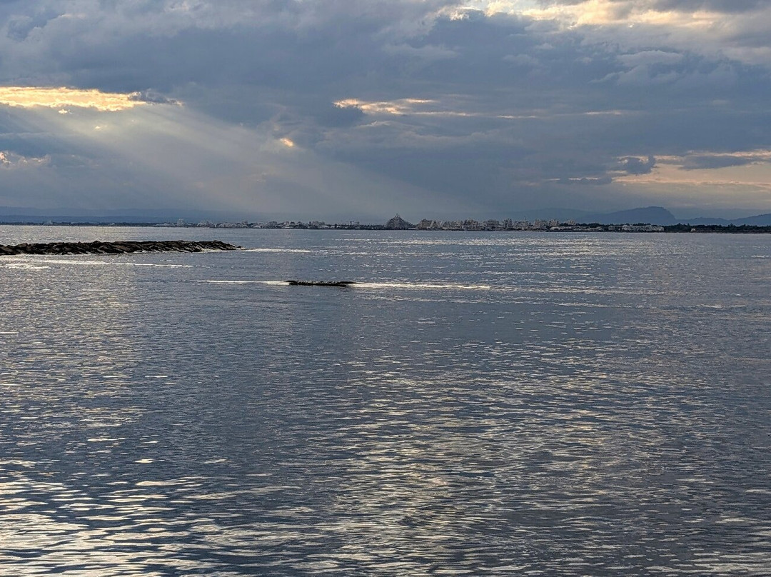 Plage de l’Espiguette-勒格罗迪鲁瓦必去景点
