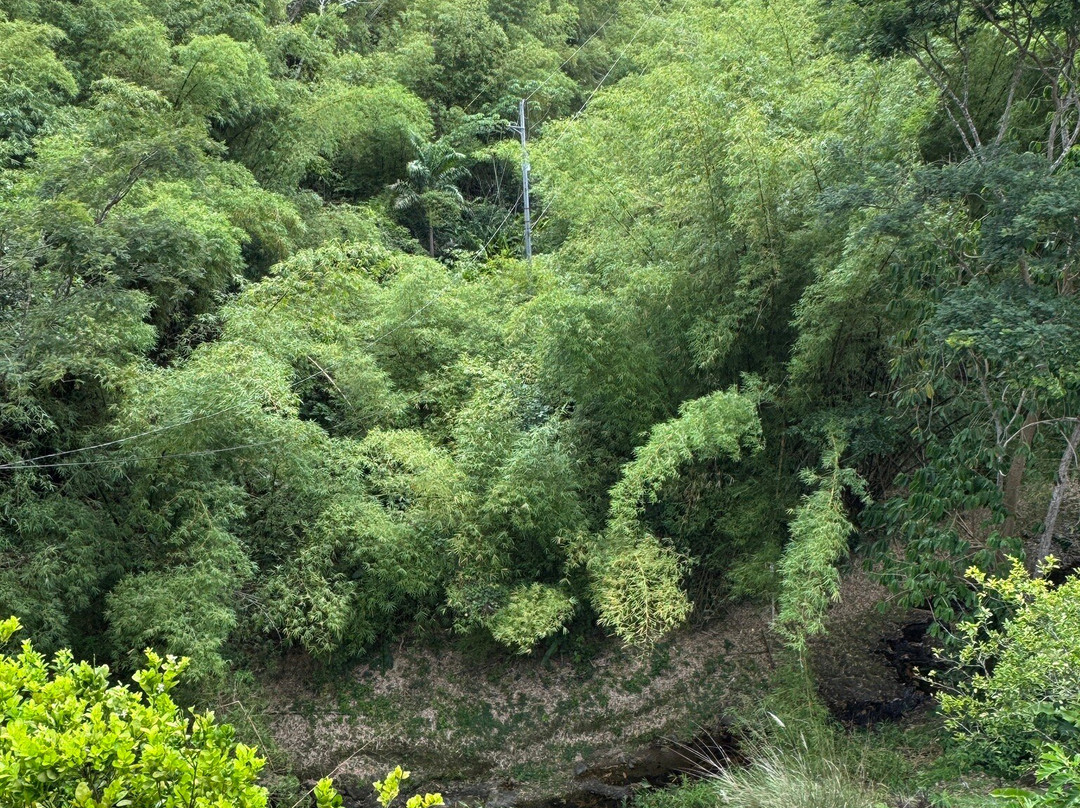 Cuffie River Nature Retreat主图
