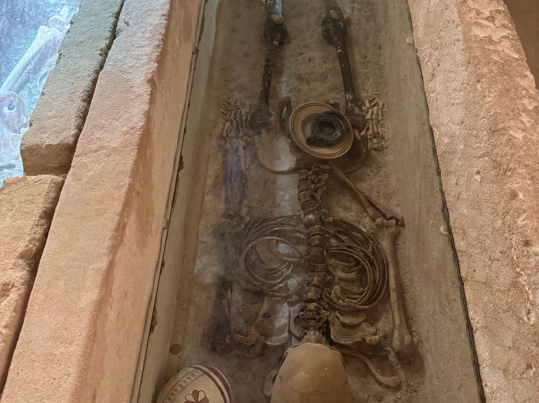 Necropolis del Puig des Molins-伊维萨城区必去景点