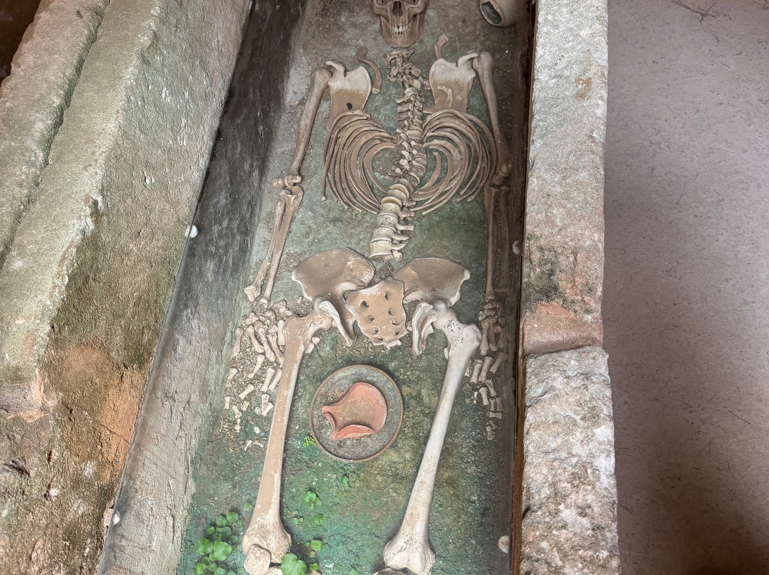 Necropolis del Puig des Molins-伊维萨城区必去景点