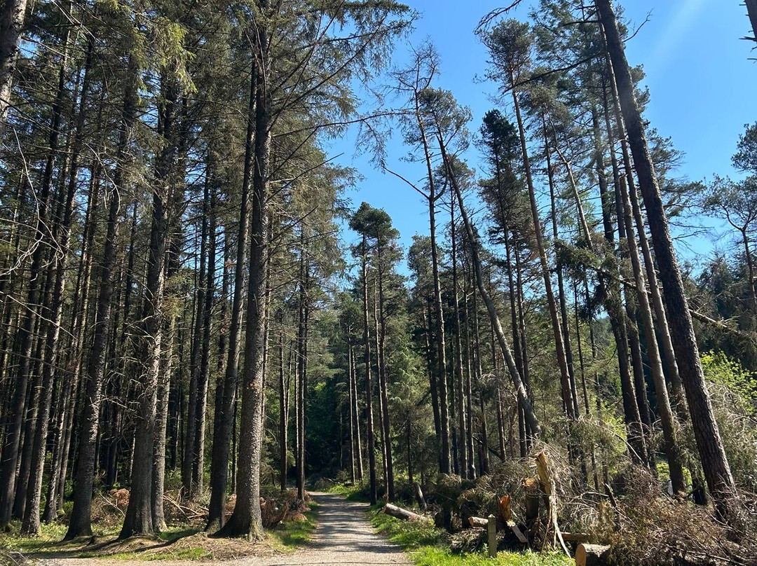 Connected Adventure.-贝尔法斯特必去景点