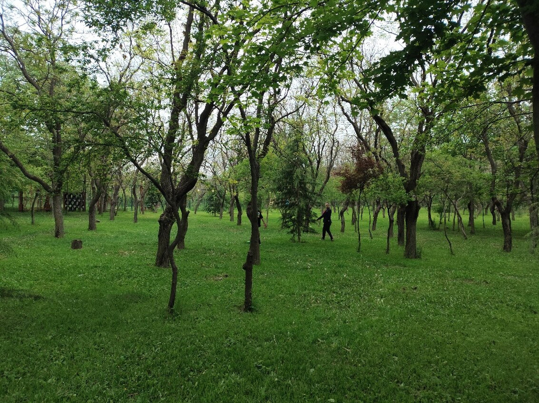 Lisi Lake-第比利斯必去景点