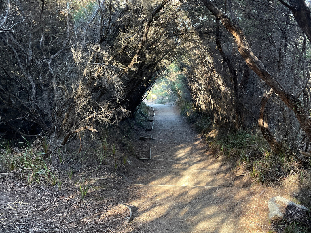 Sleepy Bay-菲欣纳国家公园必去景点