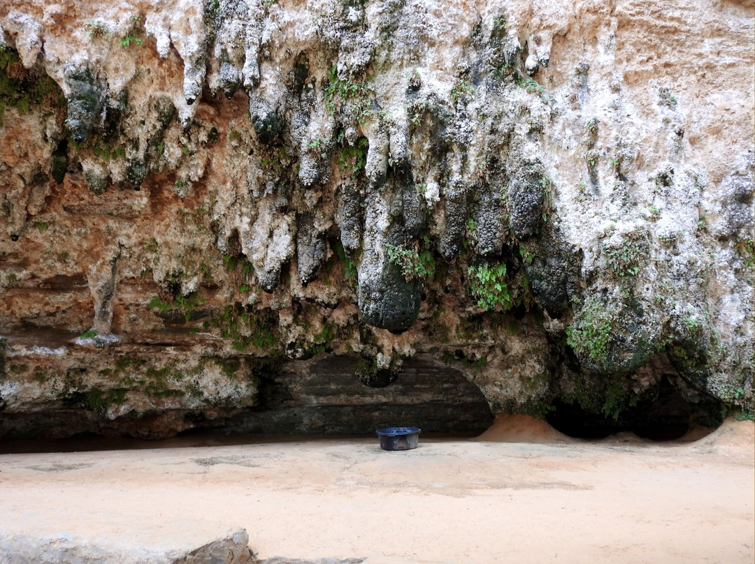 Terjit Oasis-Atar必去景点