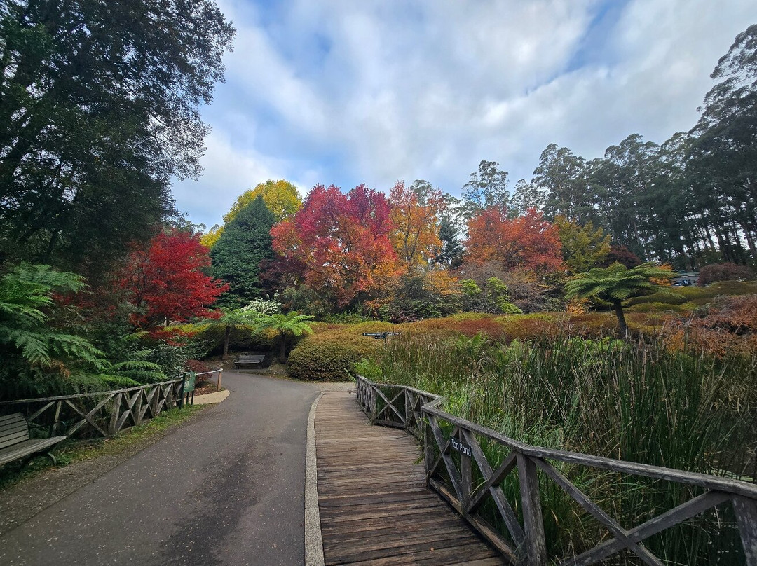 Dandenong Ranges Botanic Garden-奥林达必去景点