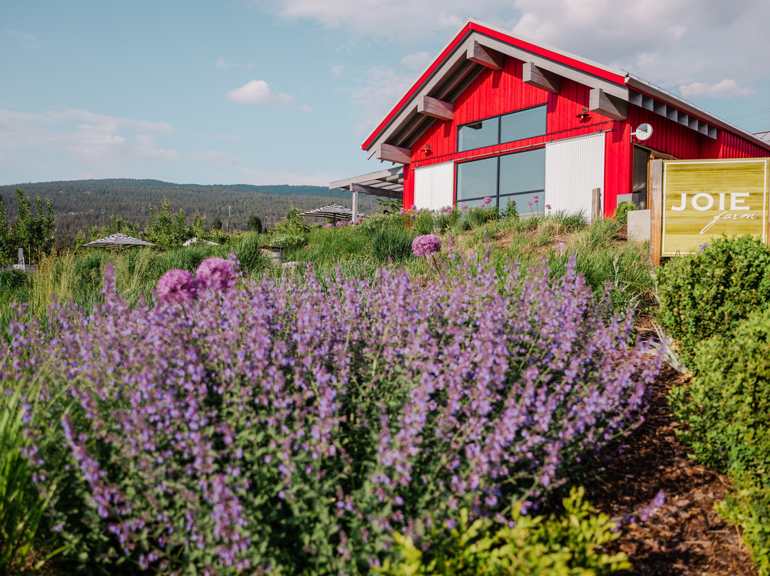 Joiefarm Winery景点图片