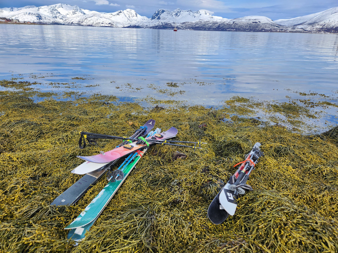 Jolly Good Times Sailing-奥勒松必去景点