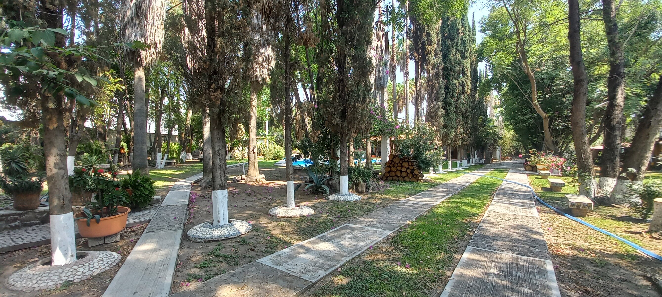 Finca Doria-官方