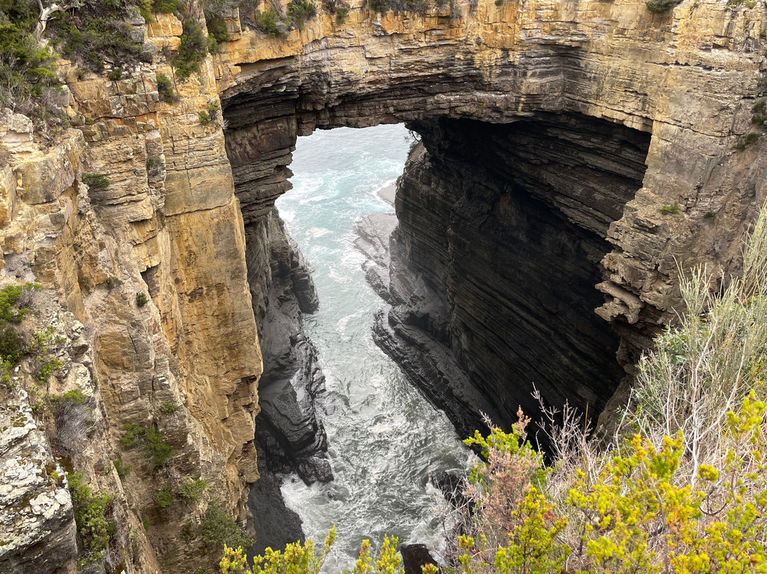 Tasman National Park景点图片