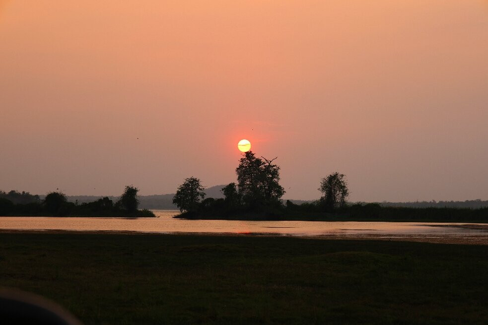 Tadoba Safari Stay Nature's Sprout主图